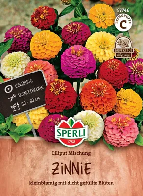 Produktbild von SPERLI Zinniensamen Liliput 60 Pflanzen