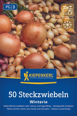 Produktbild von Kiepenkerl Wintersteckzwiebel Winteria - gelb Allium cepa 50 Zwiebeln