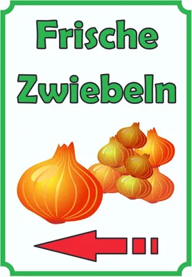 Produktbild von Verkaufsschild Schild Zwiebeln Hochkant mit Pfeil links A3 (297x420mm)
