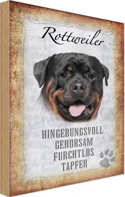 Produktbild von vianmo Holzschild 18x12 cm Rottweiler Hund Tier Haustier