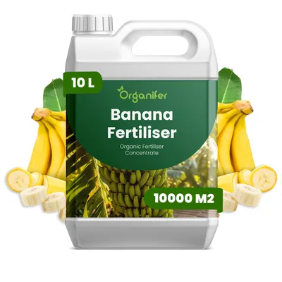 Zdjęcie produktu dla Banan Nawóz Płynny 10 L – 2-1-8 NPK – Do Owocowe Rośliny – Do Silne Banány i Zdrowe Listy – Podporuje Korzenie i Vitalitu – Organifer