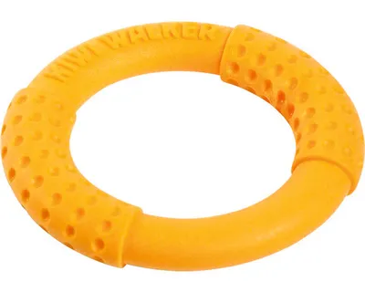 Obrázek produktu pro Hračka pes RING MINI plov.a létající z TPR oranž. Kiwi