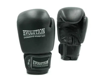 Produktbild von Evolution Basic Leder Boxhandschuhe - 10 Unzen, schwarz
