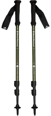 Image de Bâtons de trekking BLACK DIAMOND EXPLORER 3 Uni, toundra
