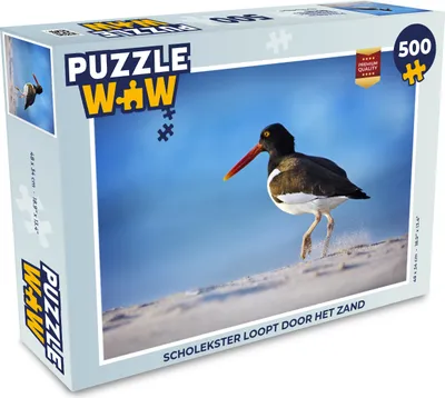 Obrázek produktu pro MuchoWow MuchoWow® Puzzle 500 ks Ústřičník se prochází po písku
