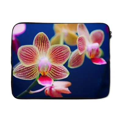 Produktbild von MuchoWow® Laptop Hülle 15 Zoll Von Orchidee Laptoptasche - Laptoptasche - Sleeve - Rundum-Schutz