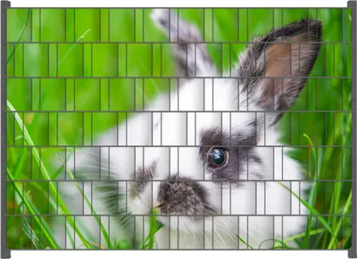 Produktbild von Wallario Zaunsichtschutz mit Motiv Süßer Hase im grünen Gras für Ein- und Doppelstabmatten Zäune in der Größe 200 x 140 cm
