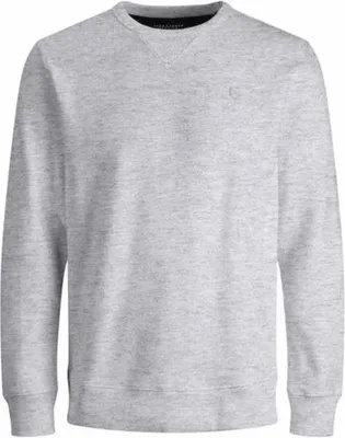 Immagine prodotto di Felpe Jack & Jones