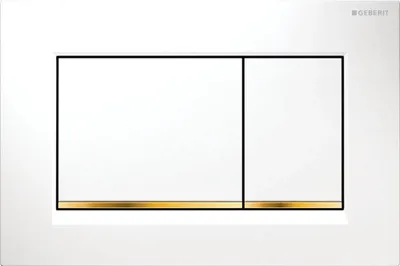 A close-up, front-facing view of a Geberit Sigma20 flush plate.
