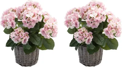 Produktbild von 2er Set künstliche Hortensien im Korb rosa H. 45cm D. 20cm Emerald Topfpflanze