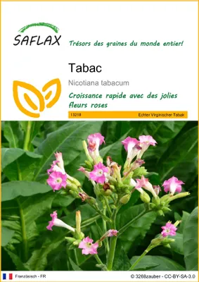 Image de SAFLAX  - Tabac - 250 graines - Nicotiana