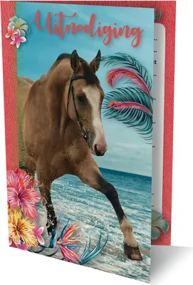 Productafbeelding van Interstat - Paardenornament, 17,5 x 12,2 cm | Een set van 6 stuks