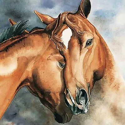 Immagine prodotto di Dipinto a numeri: Cavalli