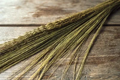 Produktbild von Federkorngras im Bund mit 3 Stielen, ca. 100 cm | Feather Grain Grass