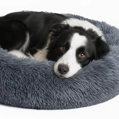 Produktbild von Hundebett rund 70 cm Hundekissen Flauschiges für Hunde Katzen Dunkelgrau
