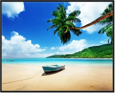 Produktbild von Wallario Wandbild Urlaub am Palmenstrand unter Palmen mit Fischerboot, Größe: 40,30 x 50,30 cm, Poster mit schwarzem Aluminiumrahmen