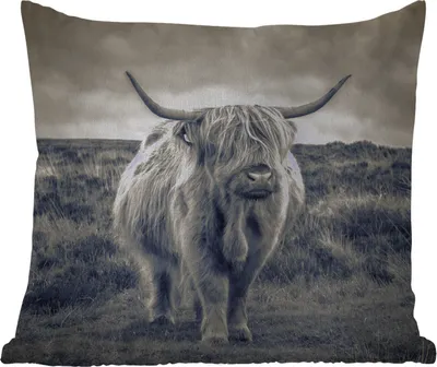 Produktbild von MuchoWow® Outdoor Kissen - Schottisches Hochlandrind - Tiere - Wolken - Kuh - Natur - 40x40 cm - Wetterfest - Lounge Kissen - Kopfkissen - Interieur - Polster mit Bild