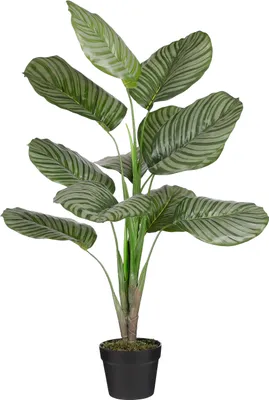 Produktbild von Mica Decorations Calathea orbifolia Kunstpflanze - H90 x Ø60 cm - Grün