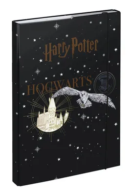 Obrázok produktu pre BAAGL Dosky na školské zošity A4 Harry Potter Rokfort Erb