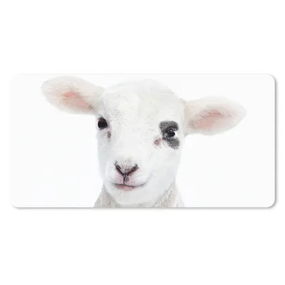 Produktbild von MuchoWow® Schreibtischunterlage Lamm - Weiß - Tiere - Natur 80x40 cm - XXL Mauspad - Gaming Mauspad