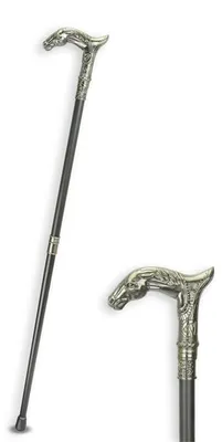 Productafbeelding van An Aluminium Walking Stick