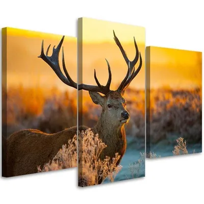 Produktbild von Triptychon auf leinwand gehörnte hirsche 120x80 cm Feeby orange wandbild bereit zum aufhängen