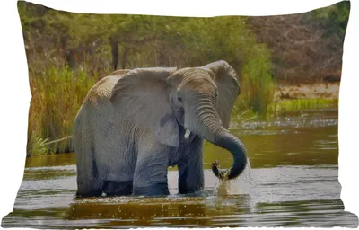 Produktbild von MuchoWow® Outdoor Kissen - Elefant - Wasser - Tiere - Natur - 50x30 cm - Wetterfest - Lounge Kissen - Sofa kissen - Wohnzimmer Dekoration