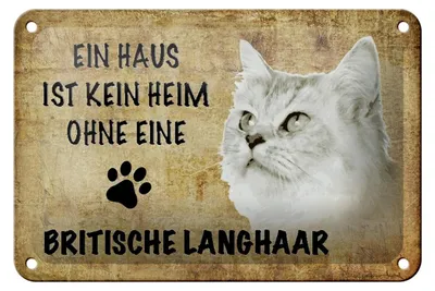 Produktbild von Blechschild Spruch 18x12cm britische Langhaar ohne kein Heim