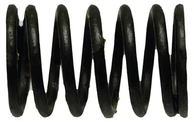 Obrázek produktu pro Tlačná pružina FENDT MWM F024200410160