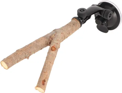 Productafbeelding van Vogelzitstok 15 cm – Natuurlijk hout, antislip, met zuignap, in hoogte verstelbaar, voor training en spel, geschikt voor parkieten en papegaaien