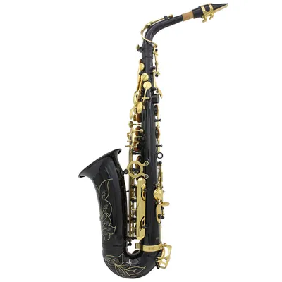 Obrázok produktu pre Mosadzný gravírovaný Eb E-Flat Alto Sax Sax Abalone Shell Keys Dychový nástroj