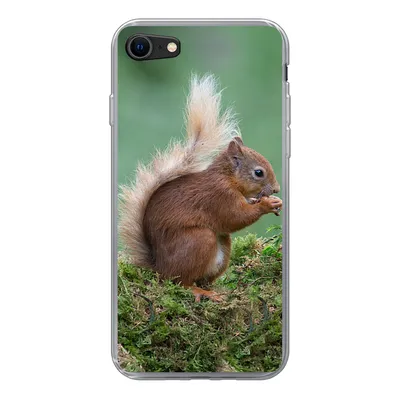 Produktbild von MuchoWow® Handyhülle Schutzhülle Hülle für iPhone SE 2020 Waldtier - Eichhörnchen - Moos Silikon Softcase Handy Hülle - Kartenbesitzer
