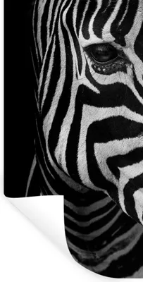 Produktbild von MuchoWow® Wandtattoo Wandsticker Wandaufkleber Tiere - Zebra - Schwarz - Weiß 60x120 cm Selbstklebend und Repositionierbar - Selbstklebend - Fototapeten