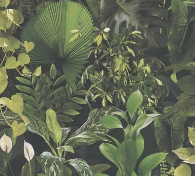 Produktbild von Tapete Aleix Botanical Dschungel M1-No.11293 Vlies Grün Schwarz Tadessi 10.05 m x 0.53 m