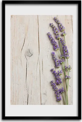 Produktbild von Bild - Bilderrahmen - 40 cm x 60 cm - MDF - Rahmen - Wandkunst - Lavendel auf dem Holz