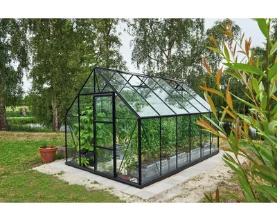 Produktbild von Gewächshaus Halls Universal 128 9,9 m² Blankglas 3 mm 257 x 384 cm schwarz