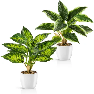 Kunstpflanzen-Set, 2 Stück, 38 cm, Calathea & Dieffenbachia, Keramiktopf