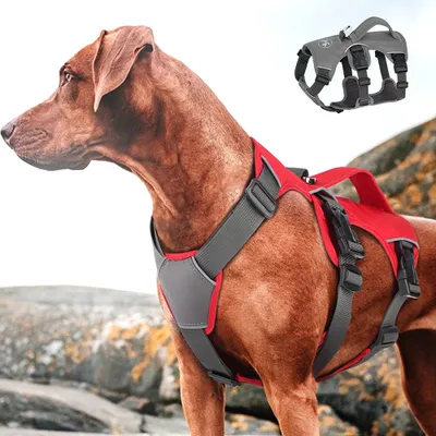 Obrázok produktu pre Ergonomický reflexný postroj pre psa, farba čersivá, veľkosť XS 33 - 50cm POS42/SED/XS