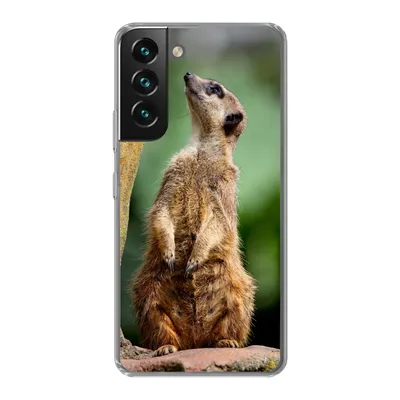 Produktbild von MuchoWow® Handyhülle Schutzhülle Hülle für Samsung Galaxy S22 Erdmännchen - Tier - Rock Silikon Softcase Handy Hülle - Mobiltelefonhülle
