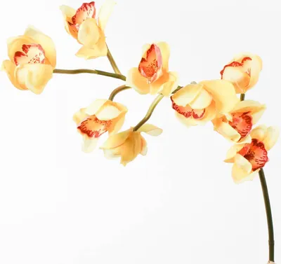 Produktbild von artplants.de Künstlicher Orchideenzweig, real Touch, gelb, 80cm - Cymbidium - Kunstblume