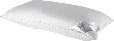 Produktbild von Kopfkissen - Baumwollbezug - Gänsedaunen - 40 x 80 cm