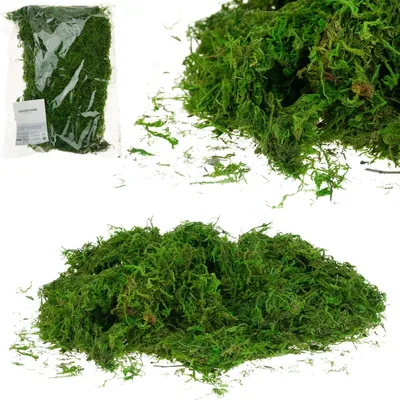 Immagine prodotto di Tg39917 Muschio Artificiale 30G Sfuso Decorativo Per Canne