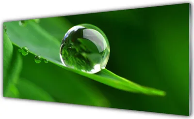 Produktbild von Acrylglasbilder 125x50 Wandbild Druck Blatt Wassertropfen Pflanzen