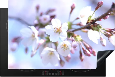 Produktbild von KitchenYeah© Herdabdeckplatte Blumen - Sakura - Zweig - Blütendolden , 81x52cm, Küche Deko, Glaskeramikkochfeld Herdabdeckung, Abdeckplatte fùr Kochfeld