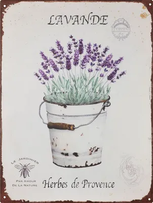 Image de Moritz Plaque en métal 25 x 33 cm Lavande Herbes De Provence Deko Plaque en métal rétro Vintage Retro Proverbes drôle