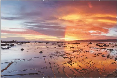 Produktbild von Wallario Wandbild Wattwanderung am Meer bei Sonnenuntergang, Größe: 61 x 91,5 cm, Poster mit rahmenlosen Bildhalter