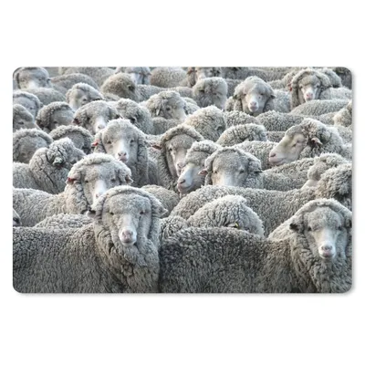 Obrázek produktu pro Podložka pod myš - Zvířata - Ovce - Ovčí kůže - 60x40cm - Podložka pod myš