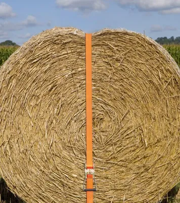 Immagine prodotto di Cinghia di ancoraggio a cricchetto Kerbl, arancione 50 mm / 10 m; capacità di ancoraggio 4000 kg