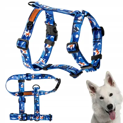 Image de Ukory Harnais Guard Chodź na psanki petit chien XS
