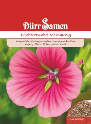 Produktbild von Trichtermalve Mischung | Trichtermalvensamen von Dürr Samen
